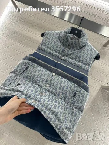 Елек Christian Dior