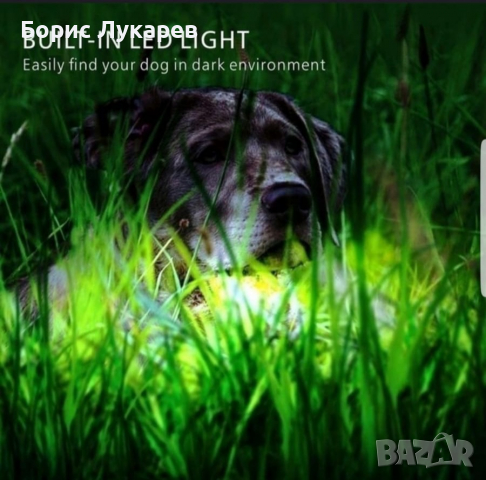 ЕЛЕКТРОНЕН НАШИЙНИК ЗА КУЧЕ,ТЕЛЕТАКТ- ВОДОУСТОЙЧИВ С ОБХВАТ ДО 800м. , снимка 10 - За кучета - 36324943