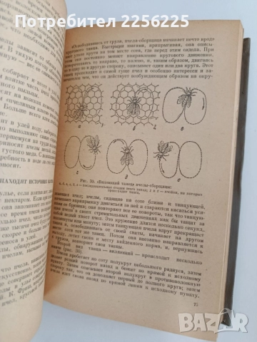 Пчеловодство 1955г, снимка 4 - Специализирана литература - 55889778