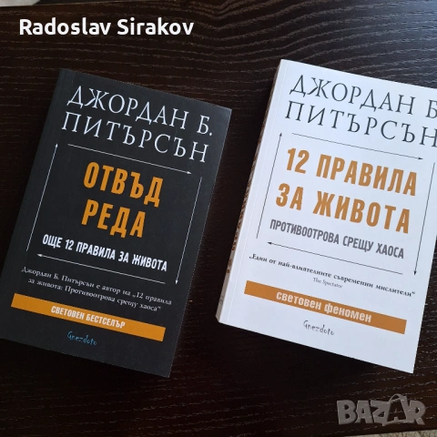 Джордан Б. Питърсън - 12 правила за живота / отвъд реда