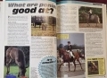 Илюстриран справочник - коне и понита / The Complete Guides to Horses and Ponies, снимка 8