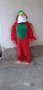 Карнавален костюм на папагал, снимка 1 - Други - 41498294