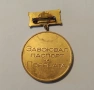 Медал ЗАВОЮВАЛ ПАСПОРТ на ПОБЕДАТА., снимка 3