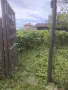 Фрезоване, косене, рязане на клони и др., снимка 6