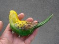 КЕРАМИЧНА ФИГУРКА ПАПАГАЛ , снимка 6