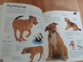Детски книжки, приказки, комикси, списания, снимка 8