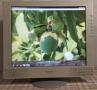 Sony SDM–M81 FTF LCD Color Computer Dispay, снимка 6