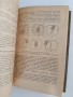 Пчеловодство 1955г, снимка 4