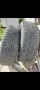 Nokian TYRES snowproof  2бр., снимка 6