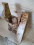 Уникална декоративна пластика / скулптура от туморна топола (кап) – ръчна изработка, снимка 3