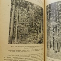 Основы общей географии растений	В.Шафер, снимка 6 - Енциклопедии, справочници - 41945534