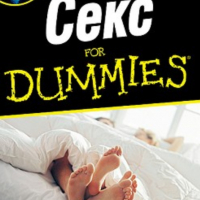 Рут Уестхаймер, Пиер Леху - Секс for Dummies, снимка 1 - Специализирана литература - 36182112