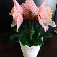 Цветя от мъниста-Амарилис, снимка 4 - Изкуствени цветя - 41856643