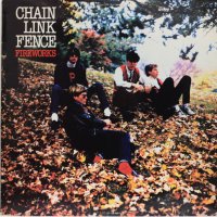 Chain Link Fence (2)-Fireworks-Грамофонна плоча-LP 12”, снимка 1 - Грамофонни плочи - 39543281