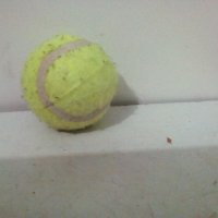 Голяма тенис топка, снимка 2 - Тенис - 41924791