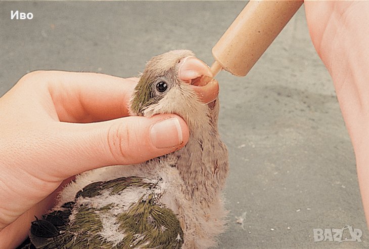 Ръчно хранене, снимка 1