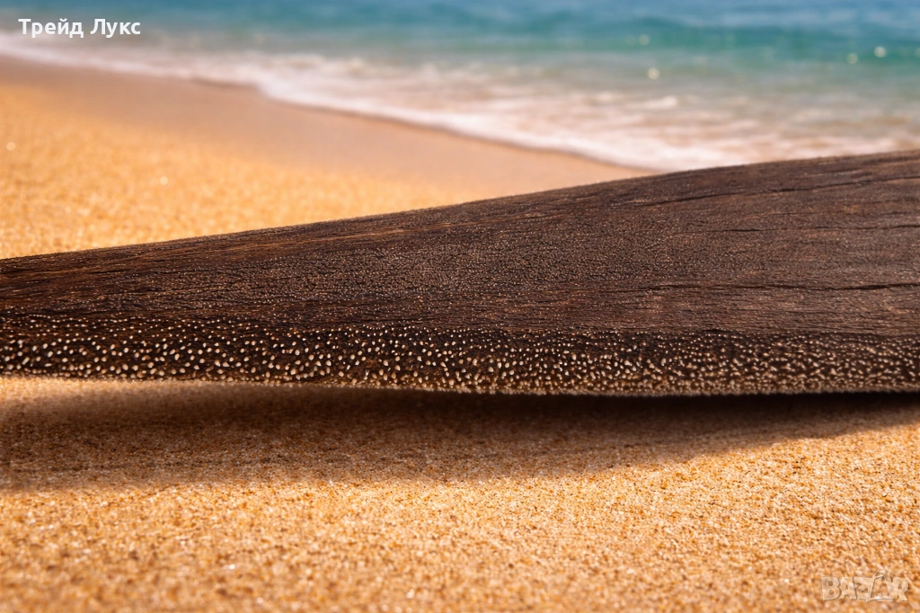 Уникален Подарък от Атлантическият океан, снимка 1