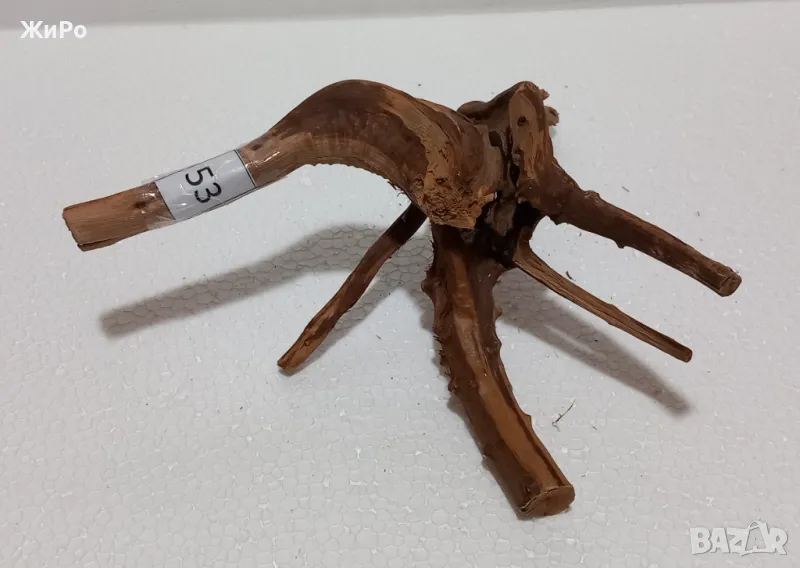 Корен от Азалия /декорация/ 53, снимка 1