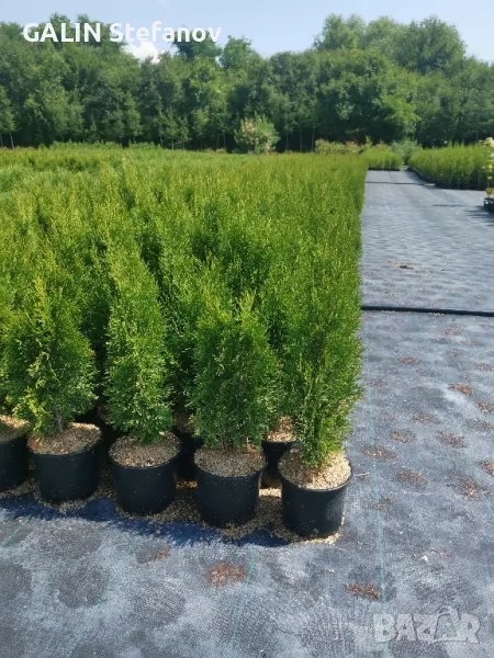 смарагд , снимка 1