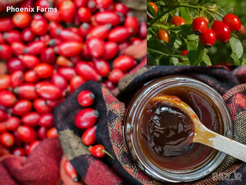 Шипков мармалад диетичен и шипки за чай ,Боров прашец, снимка 1