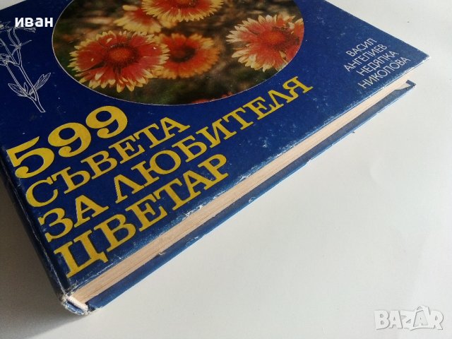 599 съвета за любителя цветар - В.Ангелиев,Н.Николова - 1981г., снимка 11 - Енциклопедии, справочници - 40228991