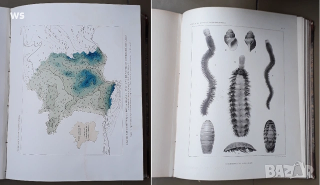 Антикварна книга - Океанография, снимка 6 - Колекции - 48922554