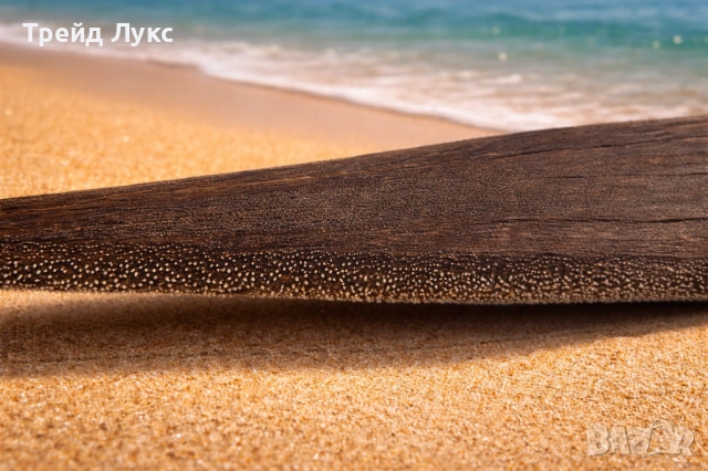 Уникален Подарък от Атлантическият океан