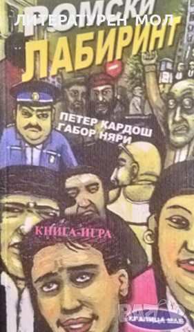 Ромски лабиринт. Петер Кардош, Габор Няри 2008 г. Книга-игра, снимка 1 - Други - 36331841