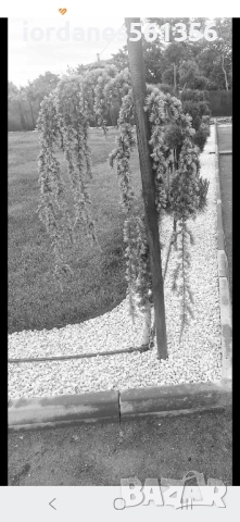 Земновлажен бетон,Филц,Пясък,Чакъл ,и бял чакъл за декороция-бял камък, снимка 12 - Други ремонти - 52281190