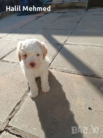 Лагото Романьоло, снимка 6 - Други - 52547291