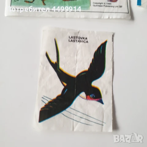 Картинки от дъвки, снимка 3 - Колекции - 51240584