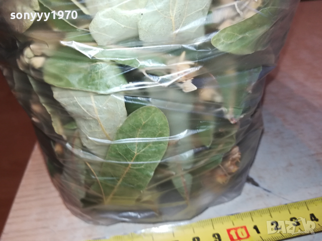 ЛИПА 2023 ГОДИНА-ГОЛЯМ ПЛИК С ЛИПА 0903241813, снимка 6 - Домашни напитки - 44685868