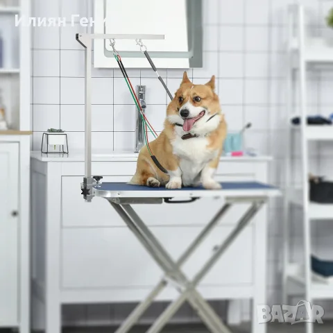 PawHut рамо за груминг на домашни любимци, снимка 2 - За кучета - 56149176
