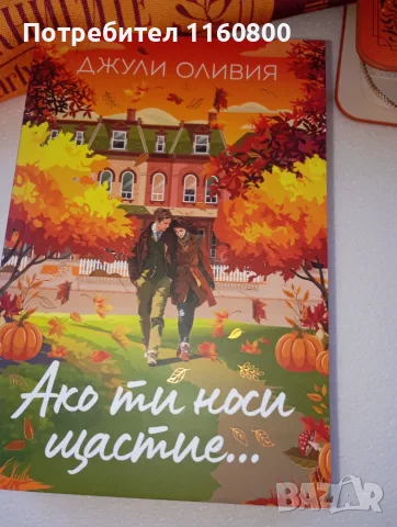 Книжна кутия  Charly Wilde, снимка 2 - Художествена литература - 55987993