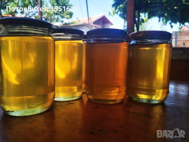100% Чист пчелен мед от Липа, Букет и Слънчоглед , снимка 3 - Пчелни продукти - 38722652