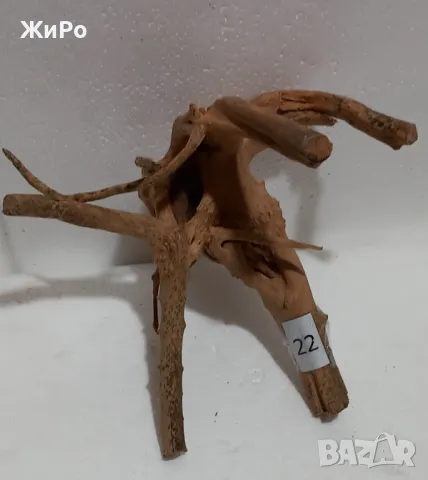 Корен от Азалия /декорация/ 22