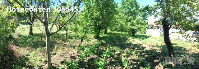 Имот в регулация в с.Паволче 600м2 до главен път, снимка 3 - Парцели - 56234654