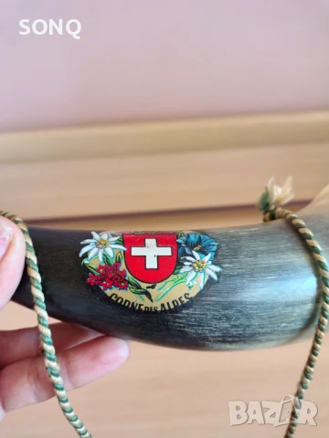 Изключително Рядък Рог, снимка 4 - Антикварни и старинни предмети - 50507070