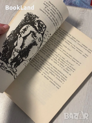 Ангел Каралийчев | Съкровищница, снимка 12 - Художествена литература - 53568565