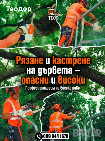 Рязане на опасни дървета и дробене на клони – Варна, снимка 5 - Хамалски услуги - 53670256