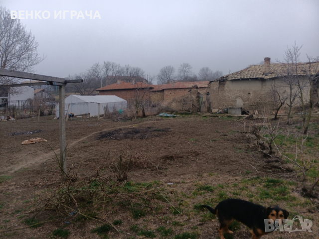къща село Надарево, снимка 4 - Къщи - 44525602