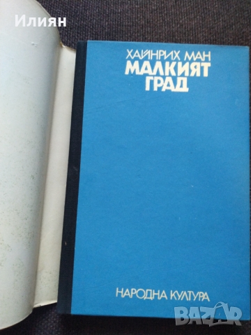 Хайнрих Ман- Малкият град, снимка 2 - Художествена литература - 36082886