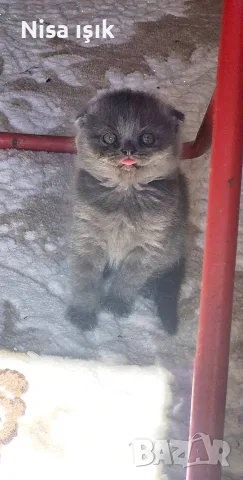 не е красива тя е уникална 
