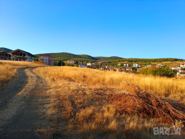 Парцел с ПУП за 7 къщички в с. Кошарица, снимка 4 - Парцели - 52676325