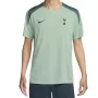 Мъжка тениска Nike Tottenham Hotspur Strike Third FQ2614-380, снимка 1