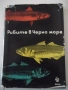 Книга "Рибите в Черно море - Колектив" - 248 стр., снимка 1