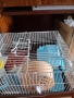 Клетка за хамстери , снимка 6