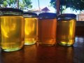 100% Чист пчелен мед от Липа, Букет и Слънчоглед , снимка 3