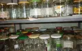 Продавам буркани с винт различни размери, снимка 1