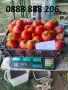 Продавам вкусни домати, снимка 7